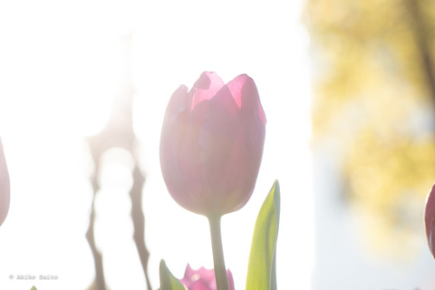 230401-10