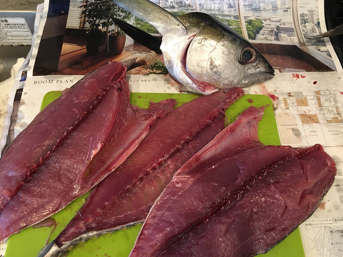 マグロの解体ショー 圧力鍋で 時短 簡単 うちごはん Powered By ライブドアブログ マグロの解体ショー 圧力鍋で 時短 簡単 うちごはん Powered By ライブドアブログ