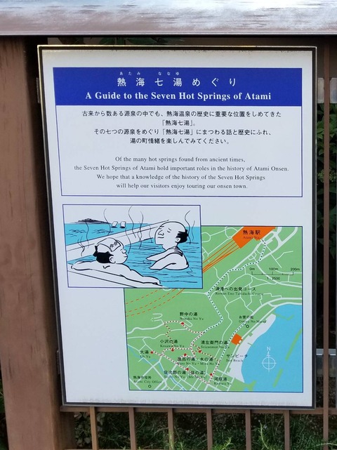 49589