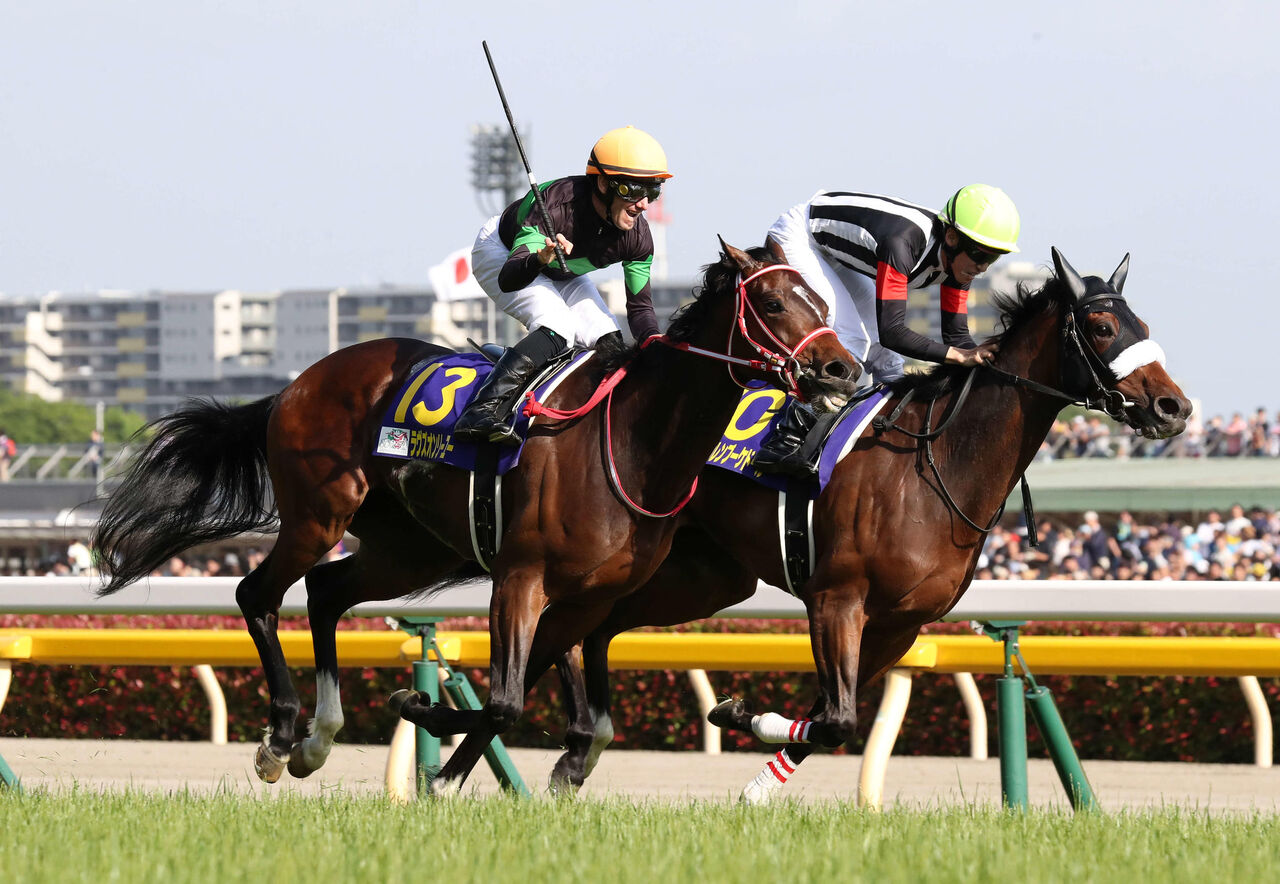 波乱はあるのか 札幌記念全頭診断 宇津井英之のmece予想