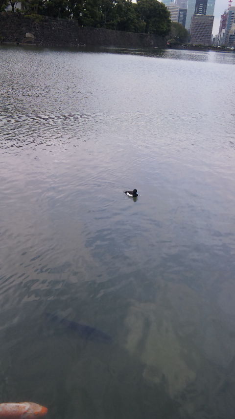 PIC0000E7