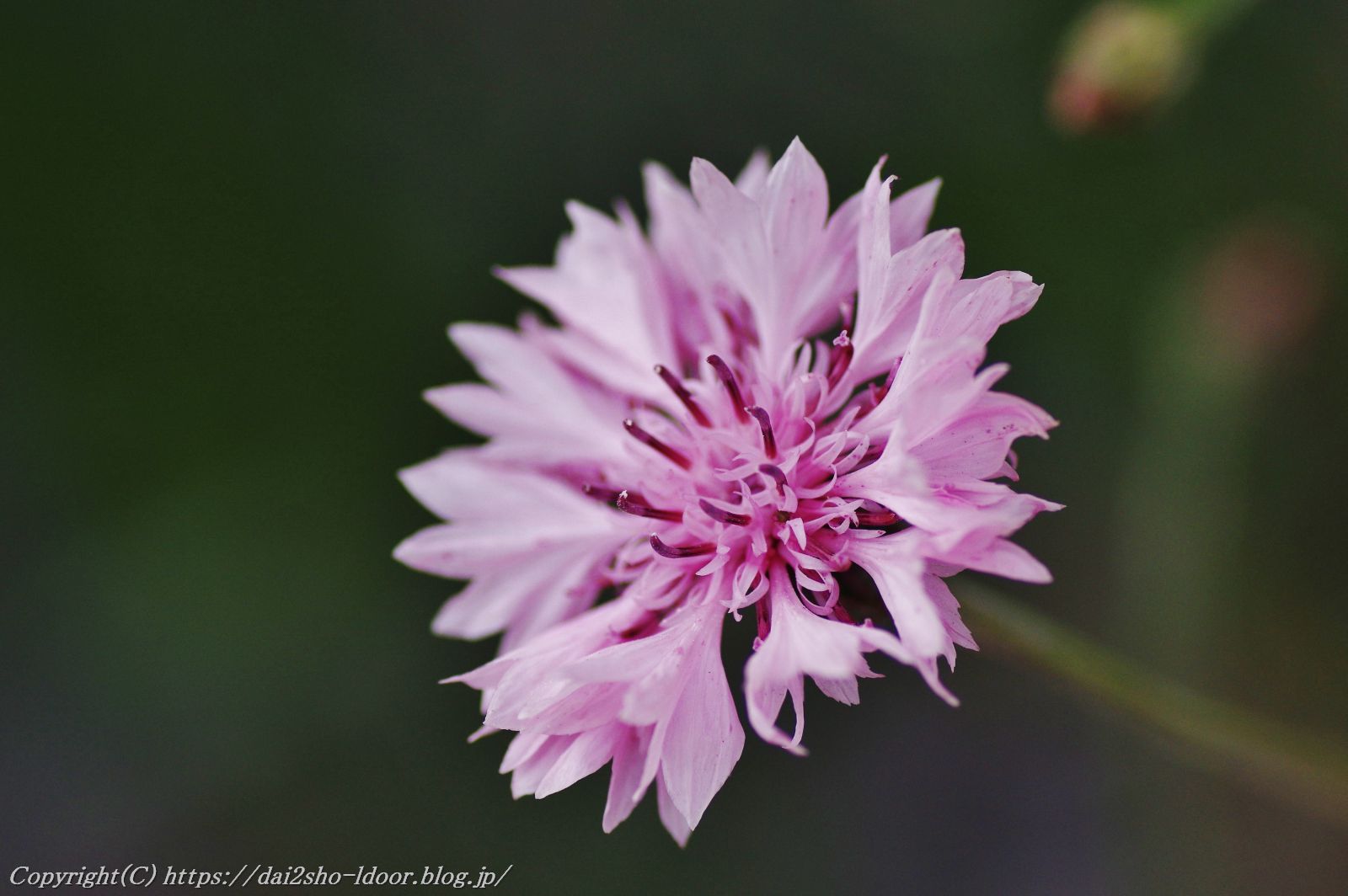 雨が降って 旅の空 人生の第二章 雨が降って 旅の空 人生の第二章