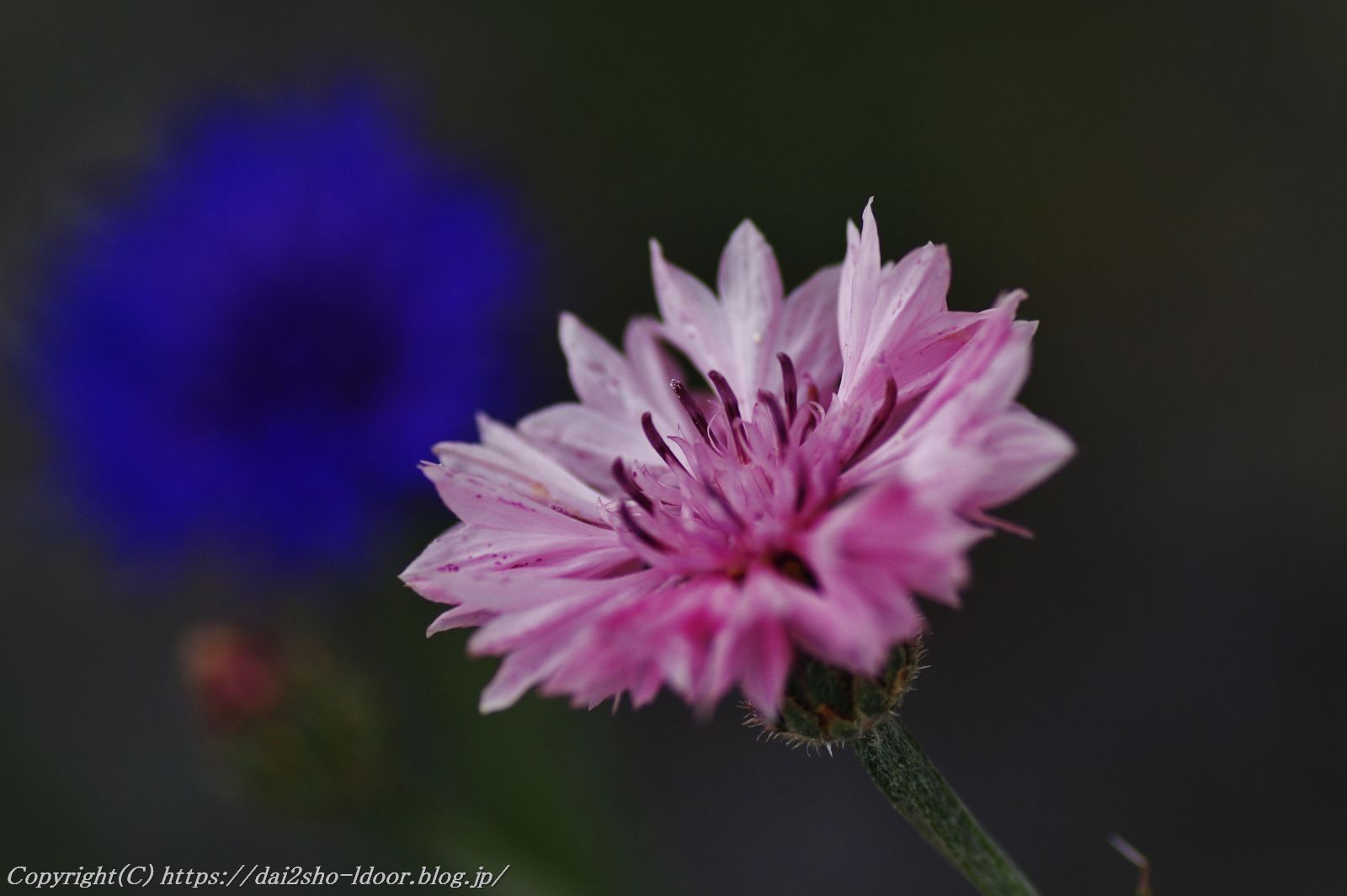 雨が降って 旅の空 人生の第二章 雨が降って 旅の空 人生の第二章