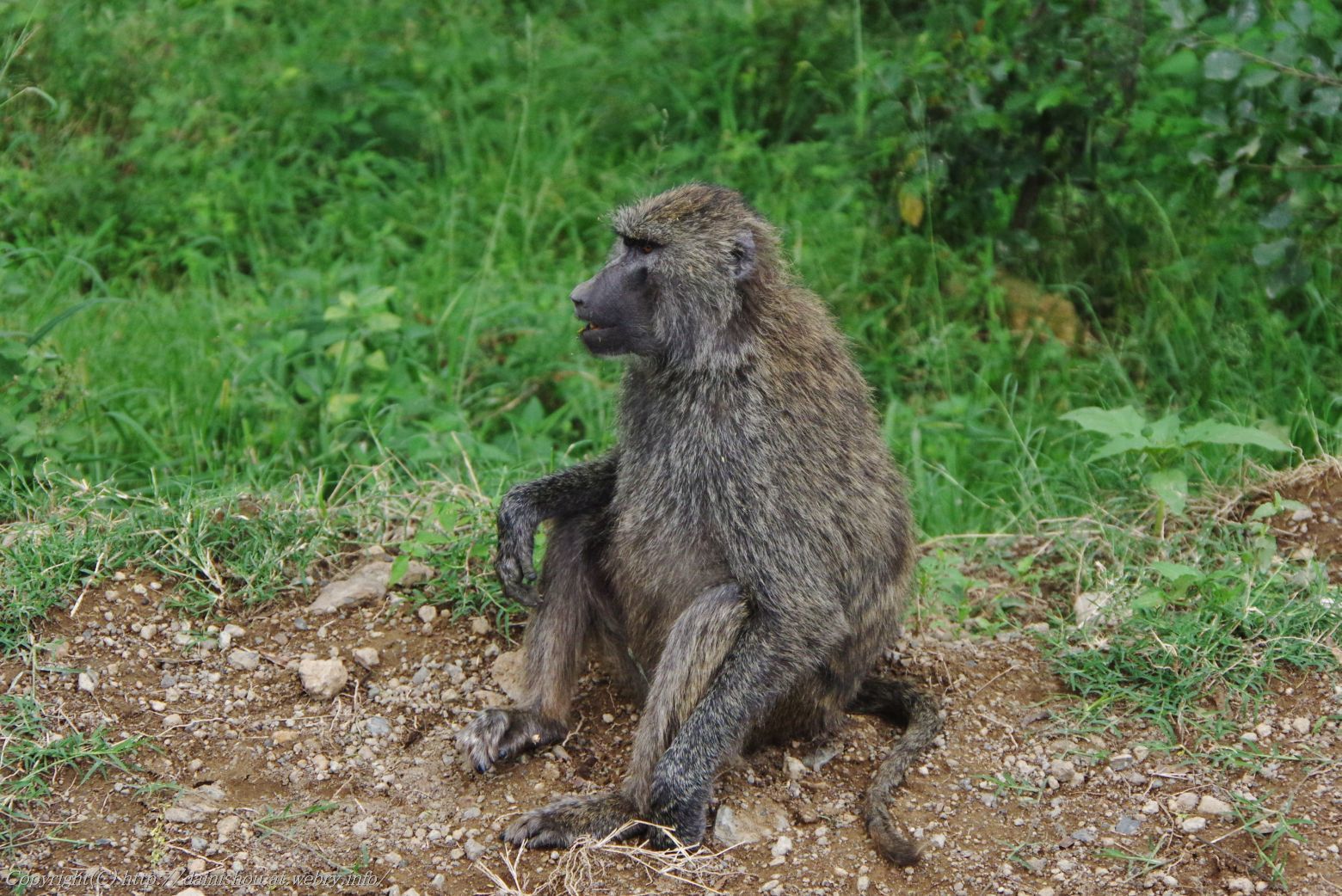 ケニア タンザニア旅行記 1 旅の空 人生の第二章