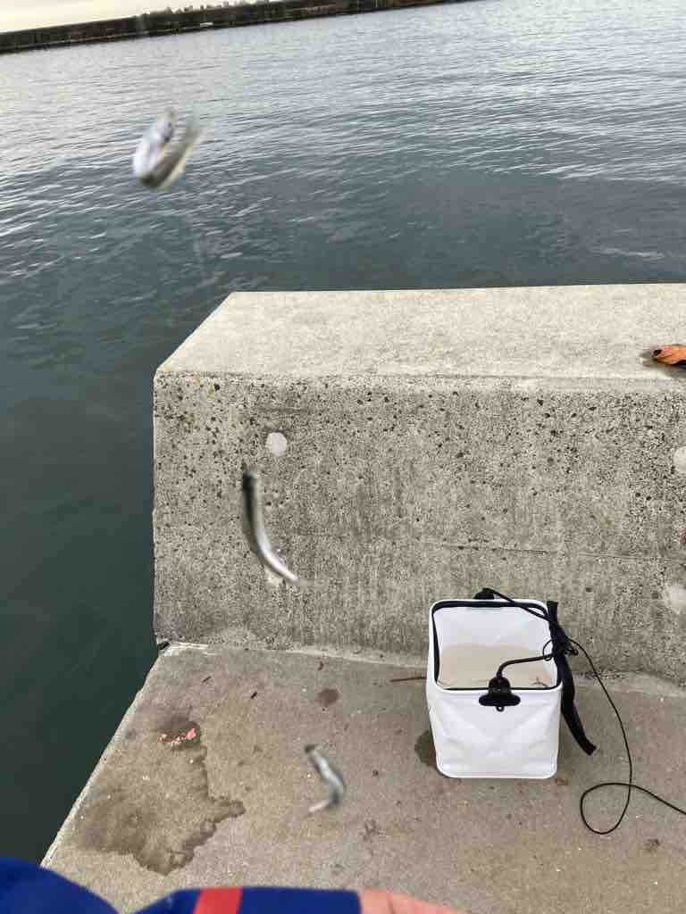 稚鮎釣り 福島県わかさぎ釣りと時々その他