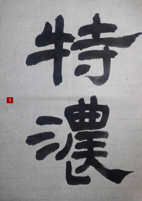 No.25k_kakizome2019-4