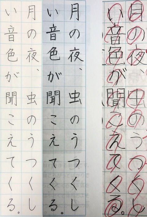 1年間の成長報告。【日ペンボールペン習字講座】 : 転猫墨戯。 ～書道