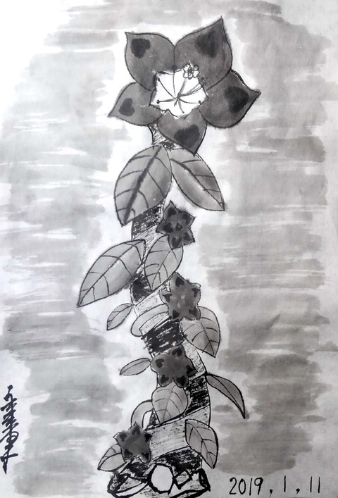 msk_334