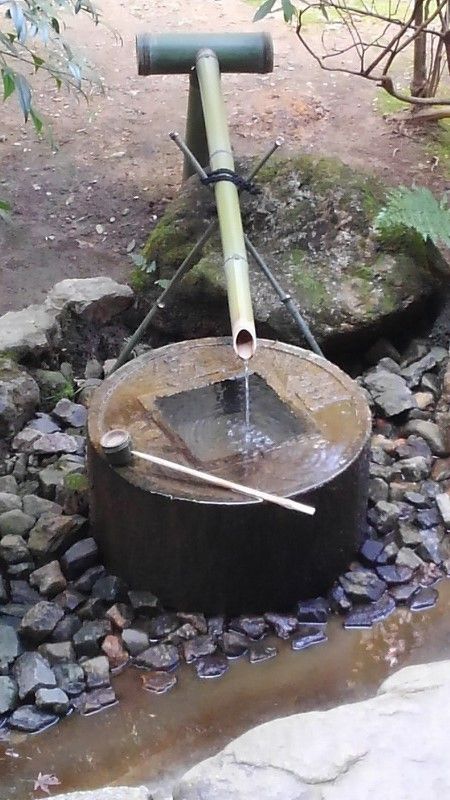 龍安寺 蹲踞 京都旅行 書道料理人 書道とカービィ 時々日常