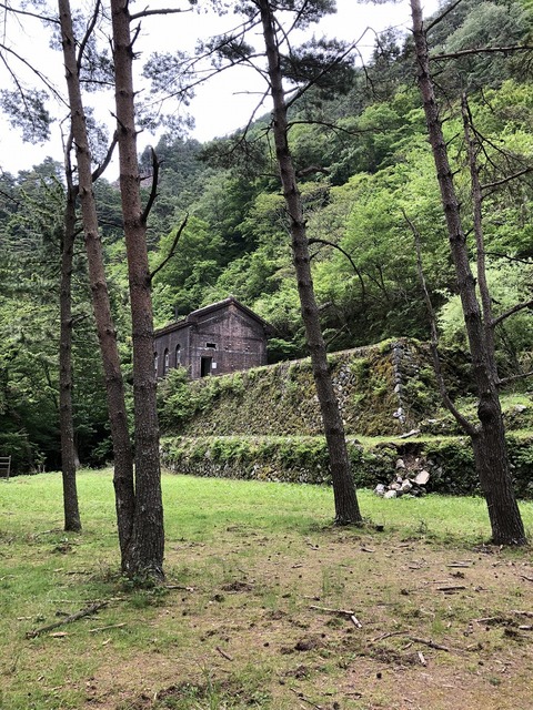 ehime19
