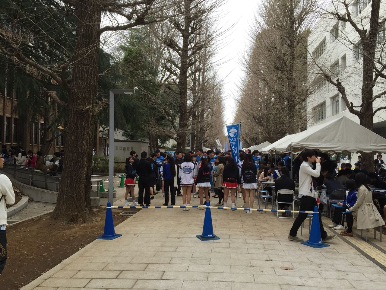 新歓記事】大学5年目にして東大運動部の実態を探ろうと思い