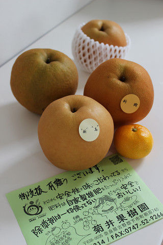resize0560