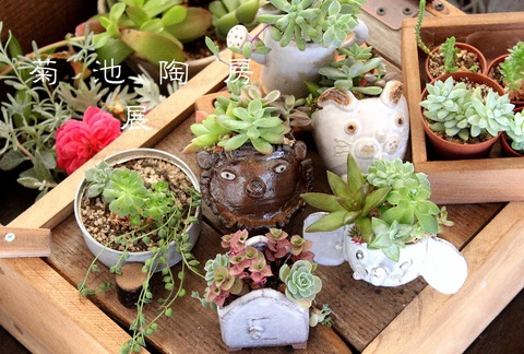 ２０周年　菊池陶房展