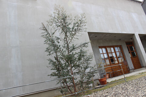 resize4620