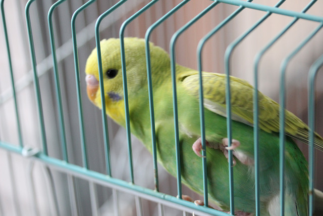 8d47548f.jpg