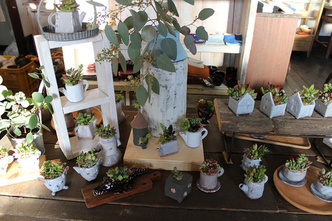 resize2424