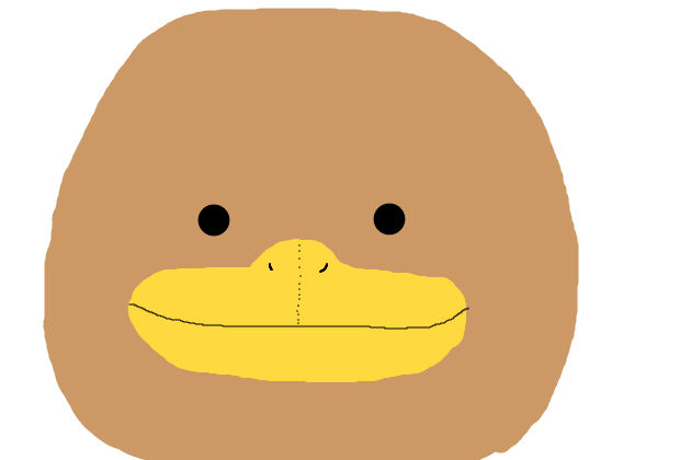 大好きなカモノハシさんのお絵かき みかん 大好きなカモノハシさんのお絵かき みかん