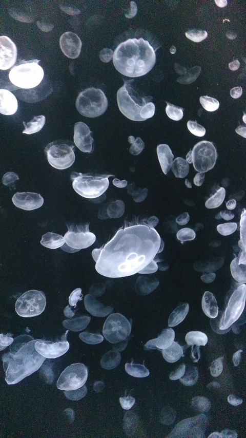 KIMG0114