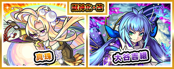 w8TSGECh20240509banner