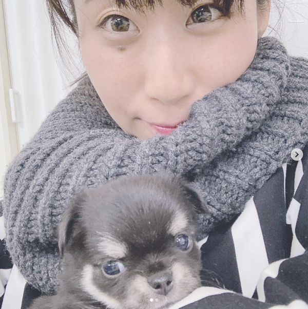 スクリーンショット 2018-12-10 15.28.31