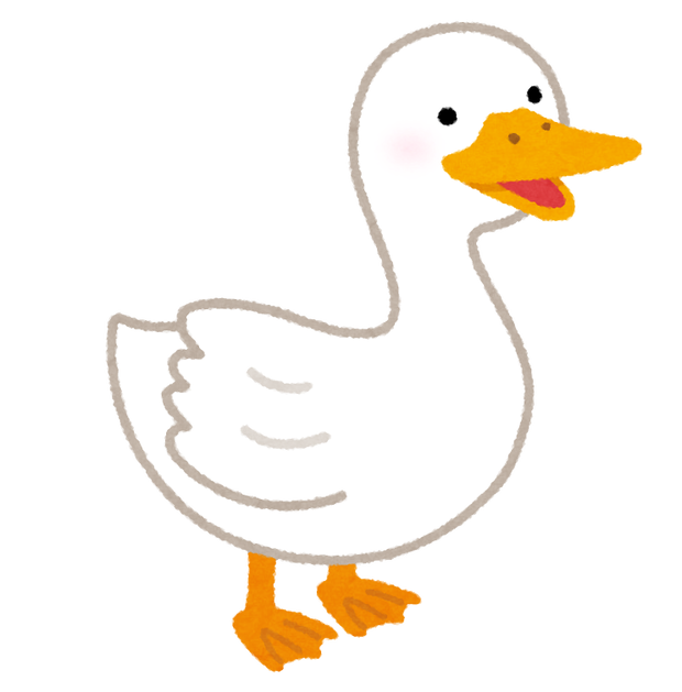bird_duck_ahiru