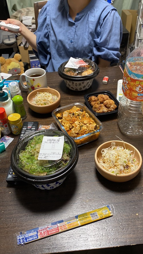 レス夕飯-3