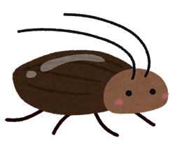 bug_gokiburi