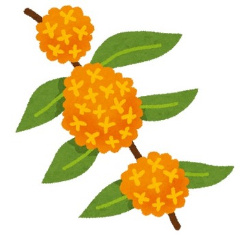 flower_kinmokusei