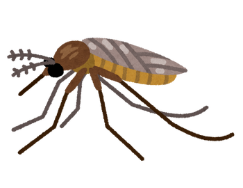 bug_akaieka
