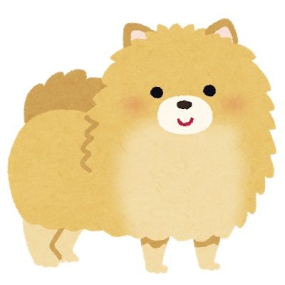 dog_pomeranian