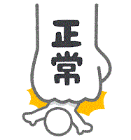 figure_tekken2_seijou