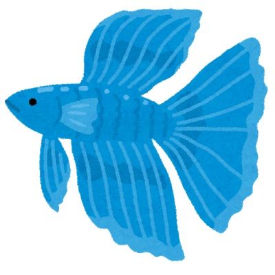 fish_beta_betta