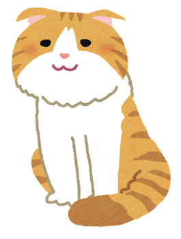 cat_scottish_fold