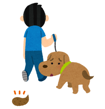 pet_fun_houchi
