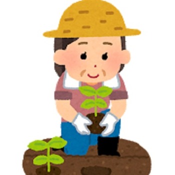 植える女性
