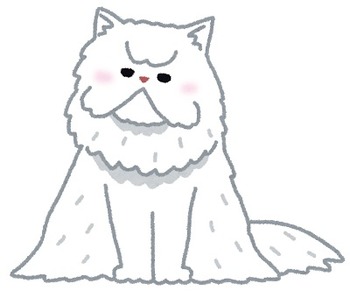 cat_persian