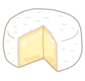 cheese_camembert