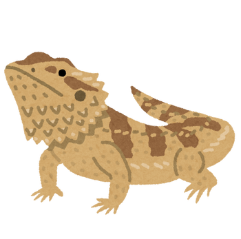 lizard_futoagohigetokage