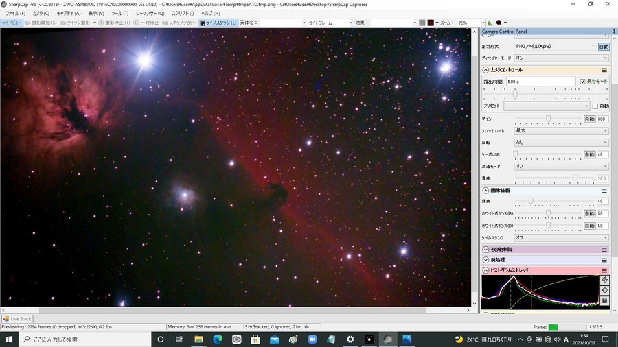 馬頭星雲 Gain300 4秒露出 319スタック ノーフィルター