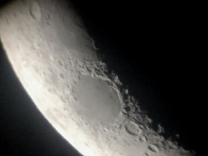 IMG_1020