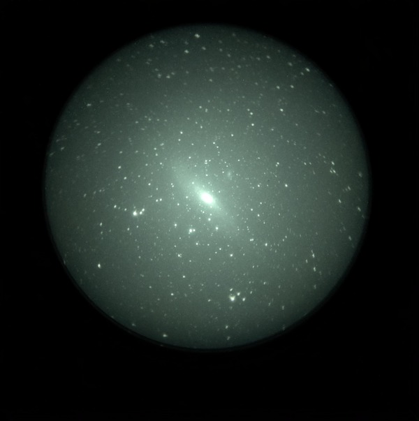 m31 650nm