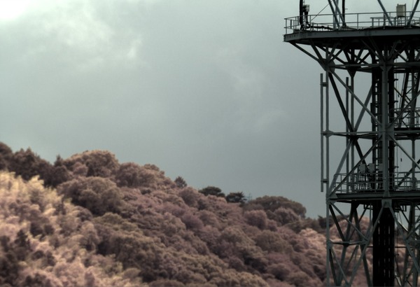 nasi migiue zantai-2