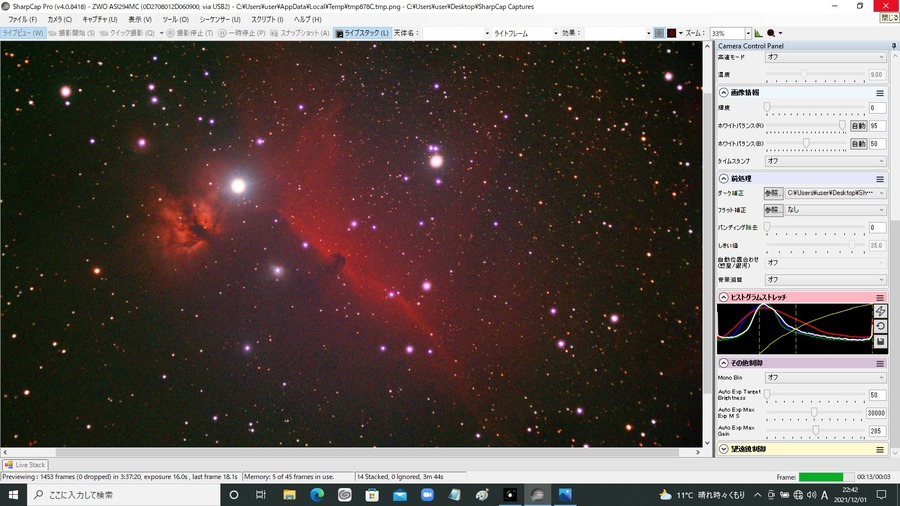 馬頭星雲　16秒露出 14スタック　Gain390