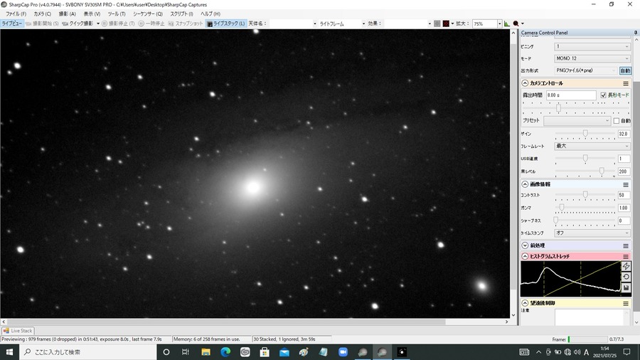 m31 8s gain32 black200 30stsck  no filter