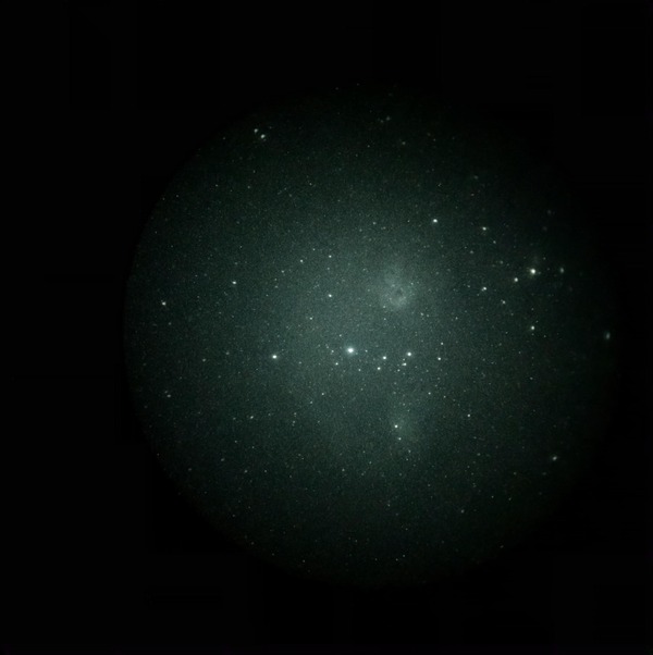 まが玉　どくろ