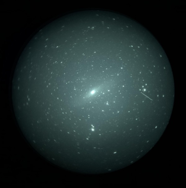 ｍ３１