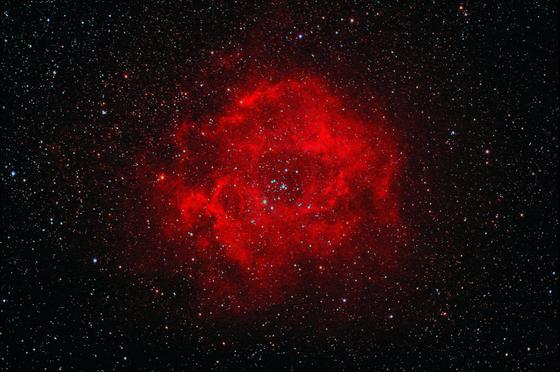 ZWO 電動フォーカサー試運転 NGC6888 クレセント星雲 - 星