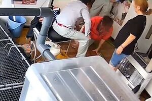 【動画】従業員に殴る蹴るの暴行を加える札幌の会社社長が怖い。