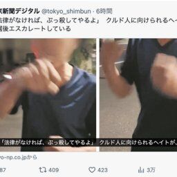 【悲報】日本人男性「クルド人ぶっ殺してやる！」クルド人父親（35）とその子どもに暴行をはたらく