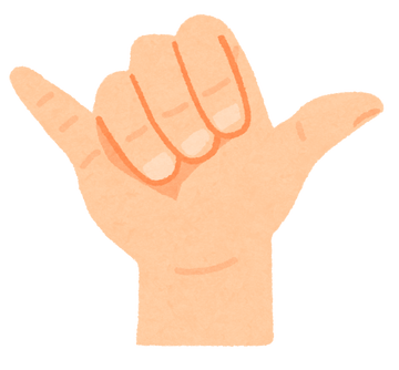 hawaii_sign_aloha_hangloose